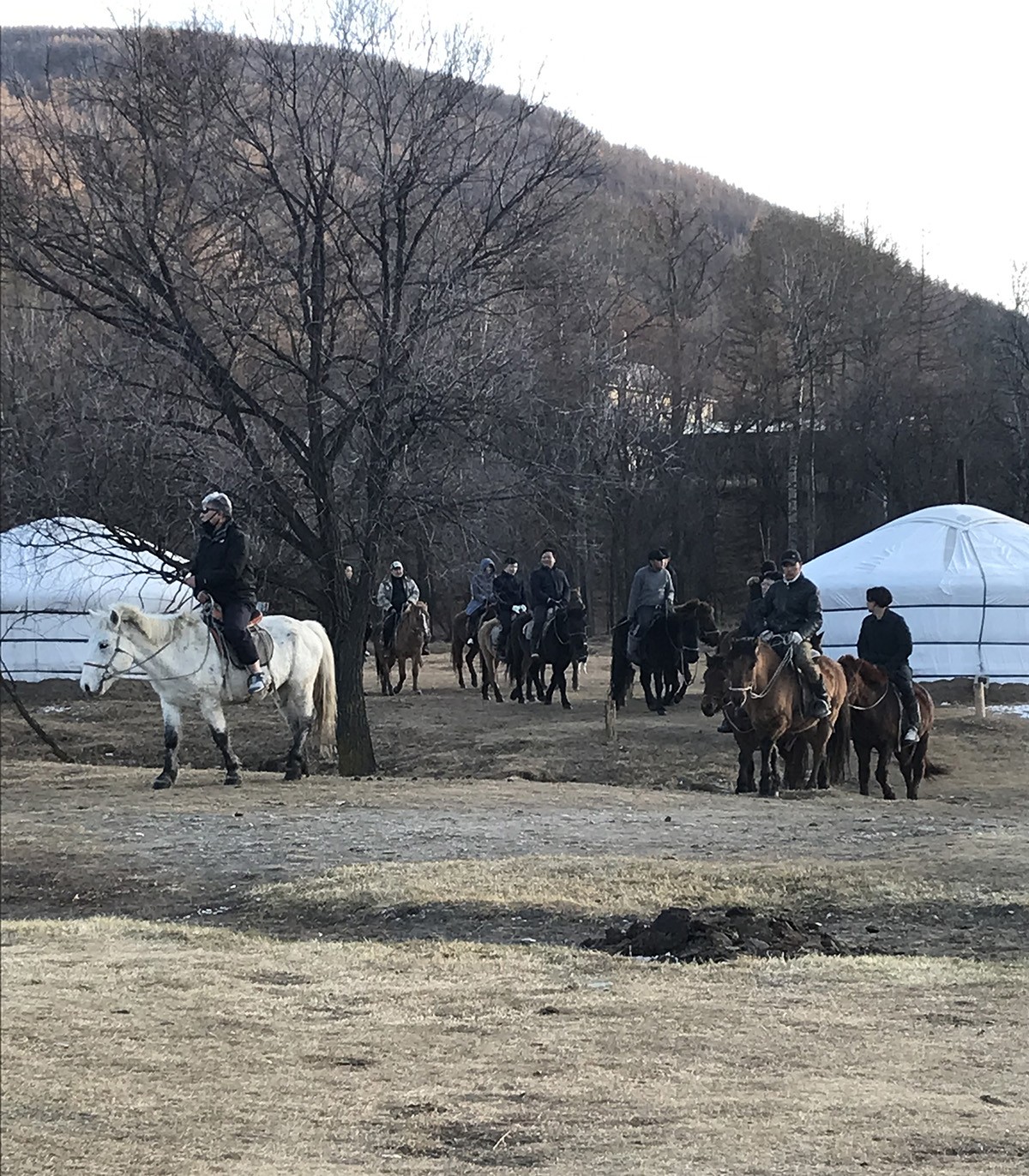 Horse trek / Tsonjin Boldog Hill/