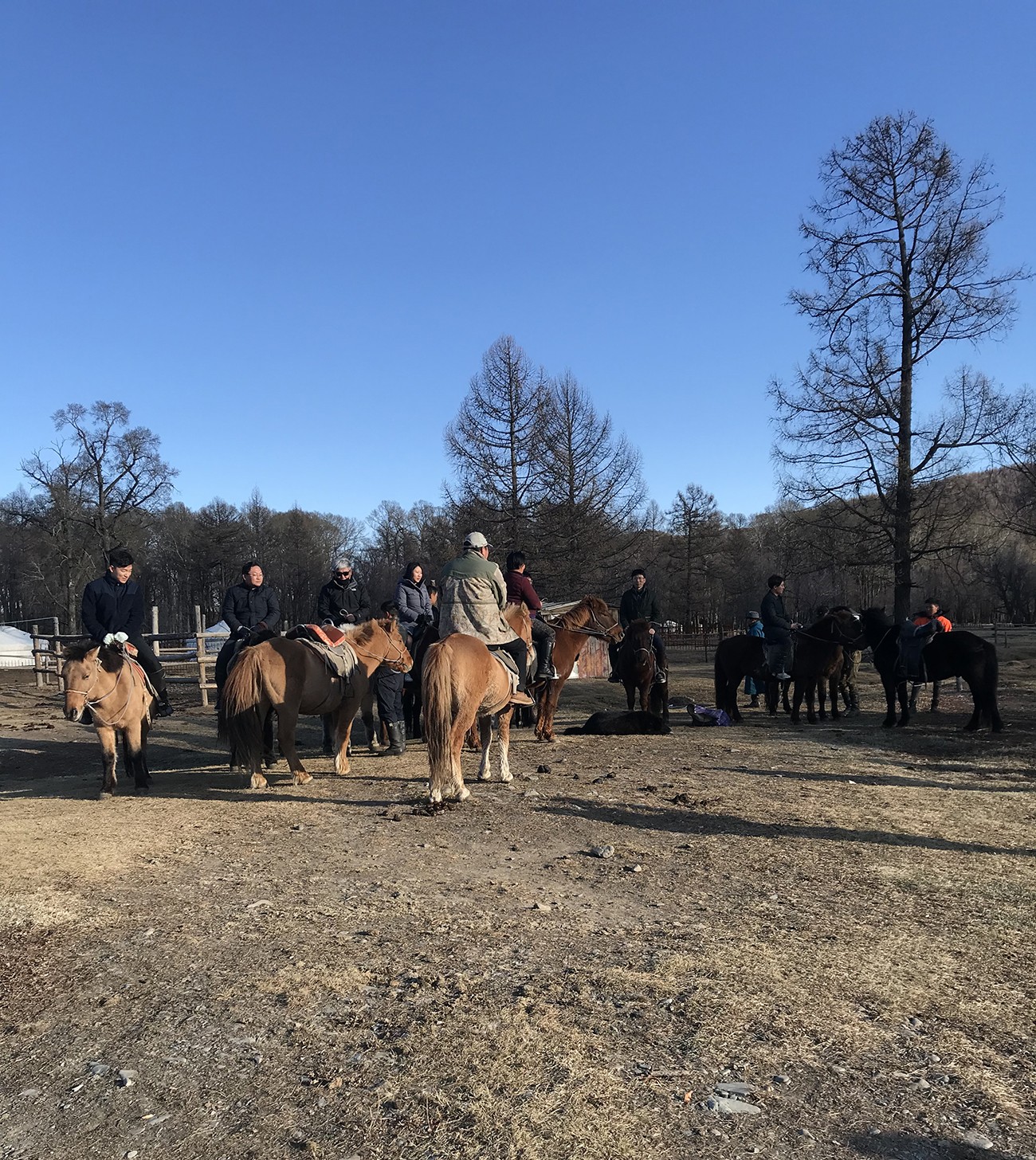 Horse Trek