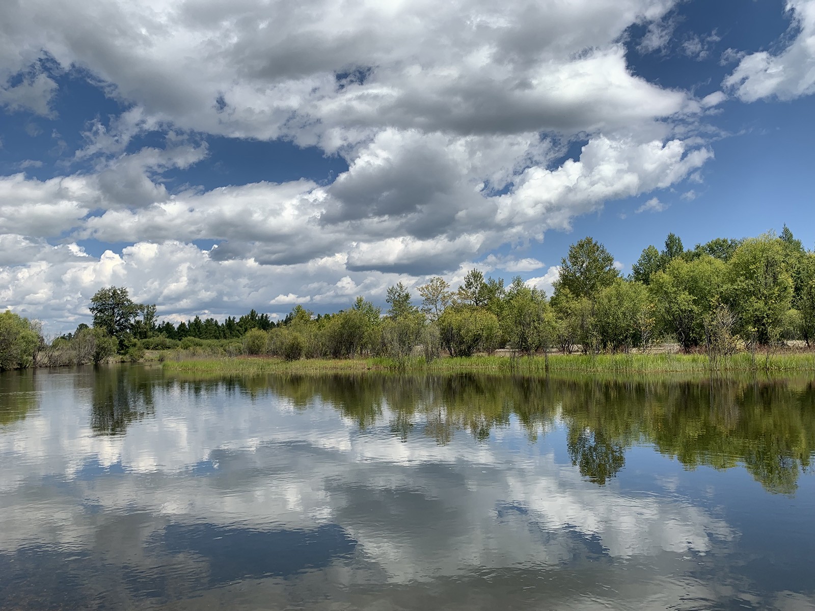 Terelj National Parks to Tsonjin Boldog  and Hustai National Park